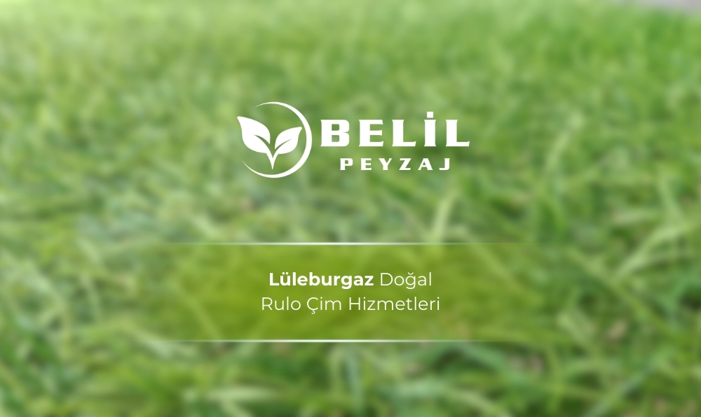 Lüleburgaz Doğal Hazır Rulo Çim Hizmetleri
