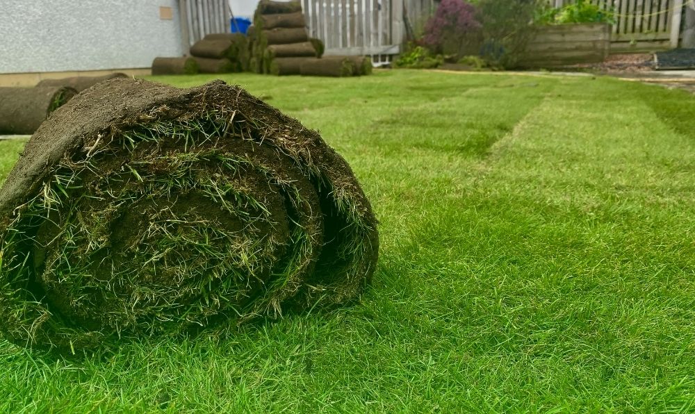 Hazır Doğal Rulo Çim Uygulamaları